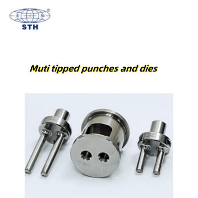 중국 TIANHE Muti Tipped High Capacity Punch and Die Coating Chrome Pharmactical 협력 업체