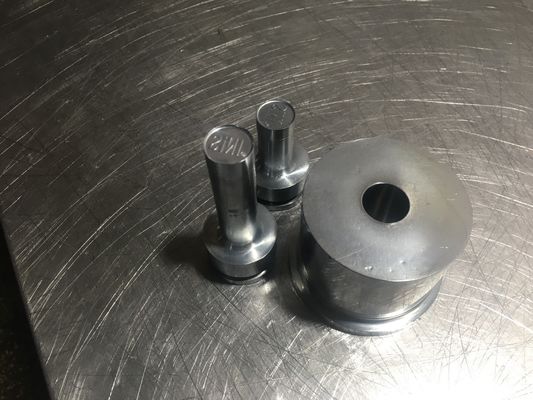 TIANHE Customized Multi-head mould/Punches & dies/Material S7 Hard Chrome 협력 업체